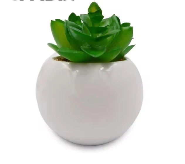  المنتج