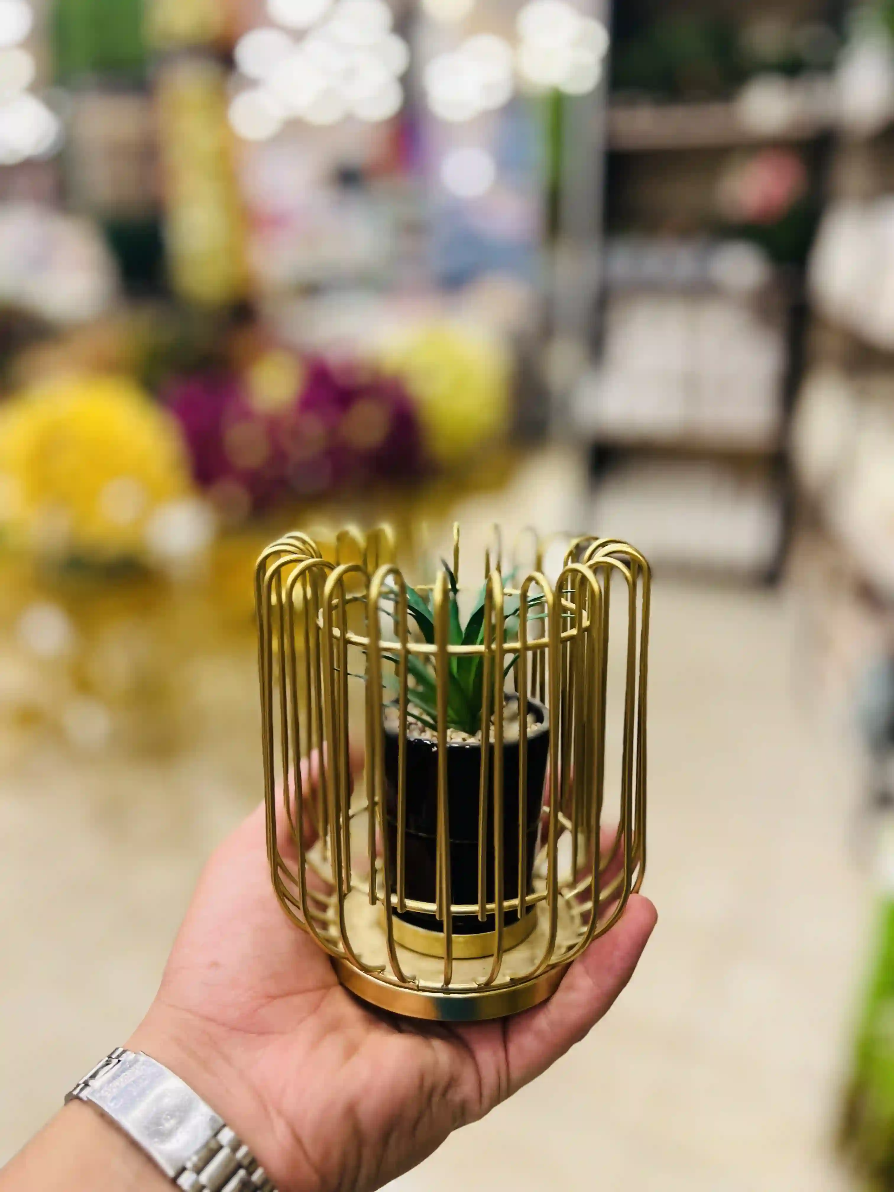  المنتج