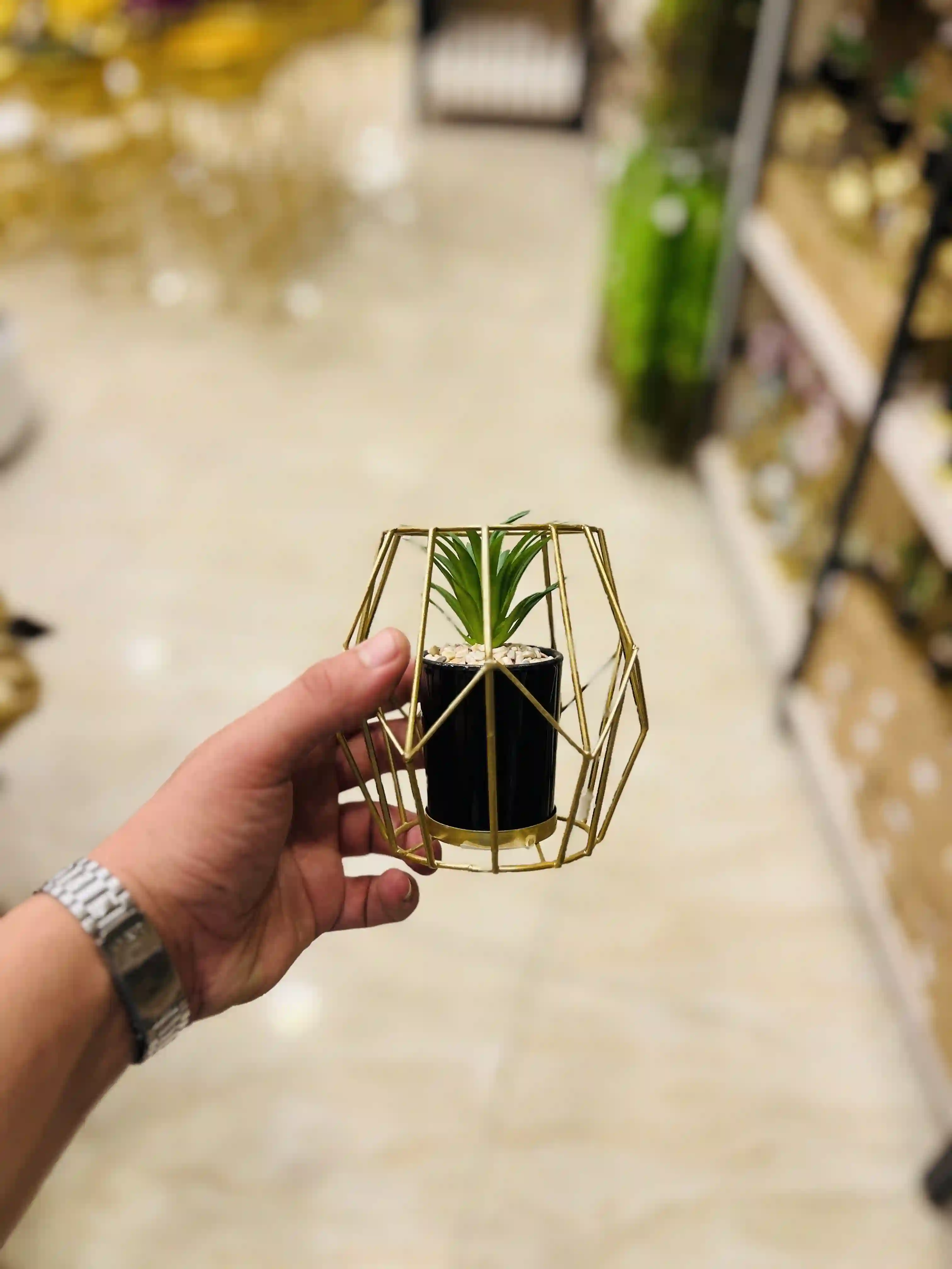  المنتج
