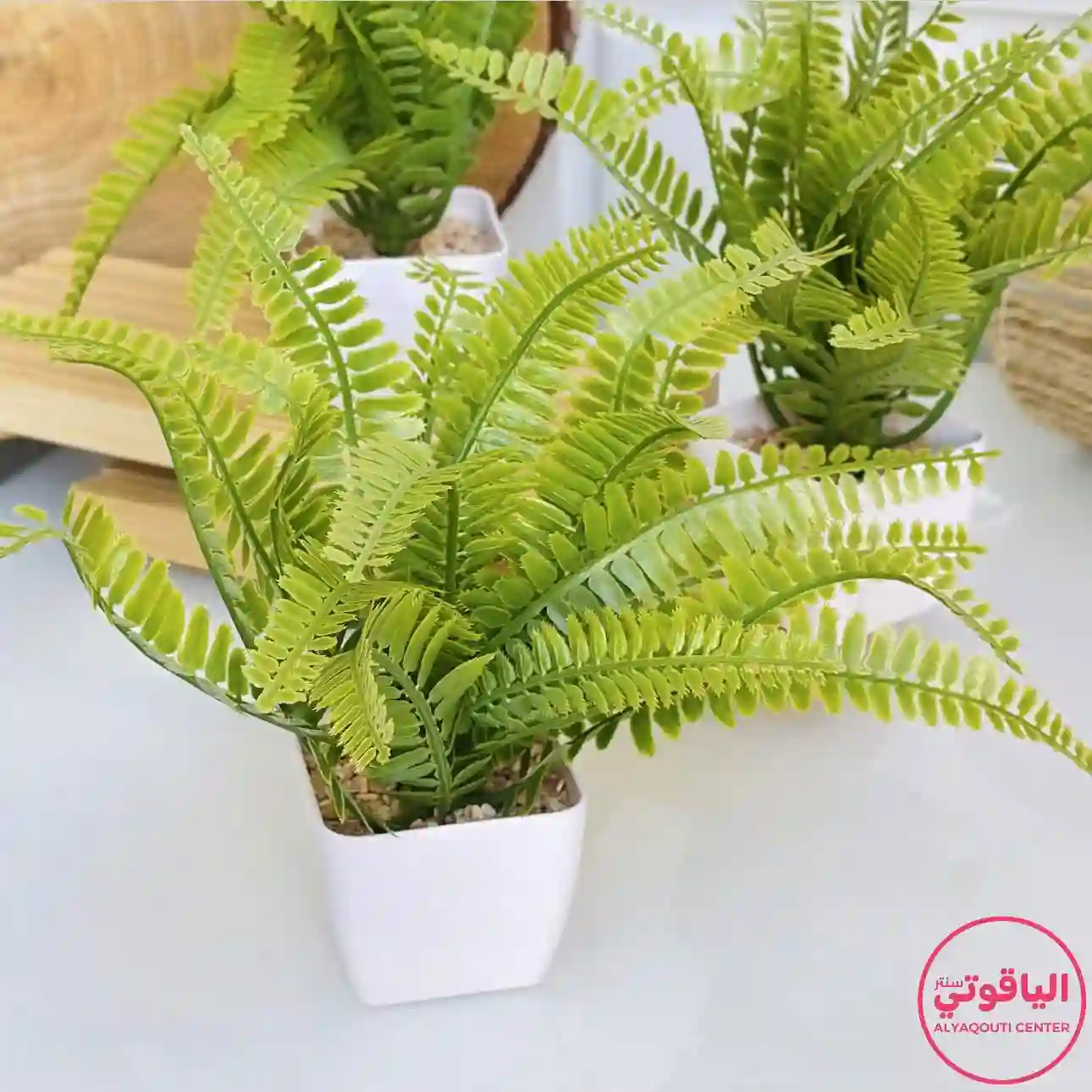  المنتج