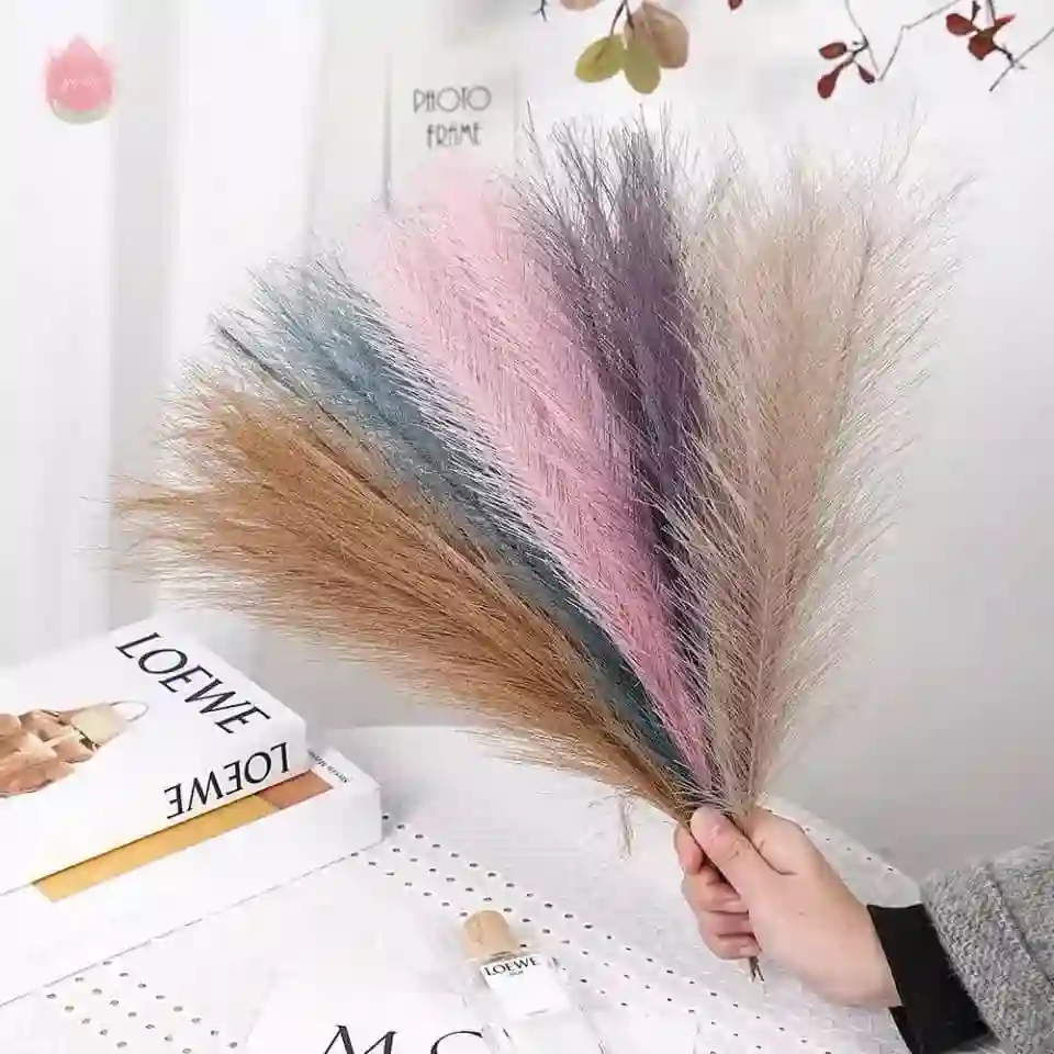  المنتج